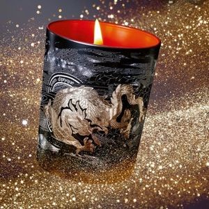 diptyque feu d’agrumes fiery orange 2.4 oz candle